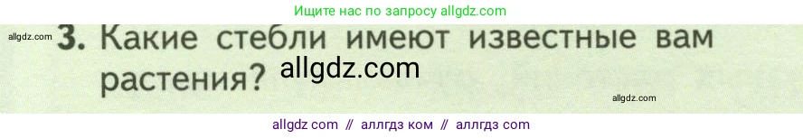 Биология, 6 класс Учебник, авторы: Пасечник Владимир Васильевич, Суматохин Сергей Витальевич, Гапонюк Зоя Георгиевна, Швецов Глеб Геннадьевич, издательство Просвещение, Москва, 2023, белого цвета, страница 56, номер 3, Условие