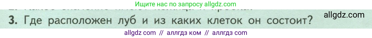 Биология, 6 класс Учебник, авторы: Пасечник Владимир Васильевич, Суматохин Сергей Витальевич, Гапонюк Зоя Георгиевна, Швецов Глеб Геннадьевич, издательство Просвещение, Москва, 2023, белого цвета, страница 59, номер 3, Условие