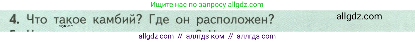 Биология, 6 класс Учебник, авторы: Пасечник Владимир Васильевич, Суматохин Сергей Витальевич, Гапонюк Зоя Георгиевна, Швецов Глеб Геннадьевич, издательство Просвещение, Москва, 2023, белого цвета, страница 59, номер 4, Условие