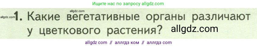 Биология, 6 класс Учебник, авторы: Пасечник Владимир Васильевич, Суматохин Сергей Витальевич, Гапонюк Зоя Георгиевна, Швецов Глеб Геннадьевич, издательство Просвещение, Москва, 2023, белого цвета, страница 62, номер 1, Условие