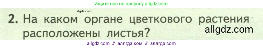 Биология, 6 класс Учебник, авторы: Пасечник Владимир Васильевич, Суматохин Сергей Витальевич, Гапонюк Зоя Георгиевна, Швецов Глеб Геннадьевич, издательство Просвещение, Москва, 2023, белого цвета, страница 62, номер 2, Условие