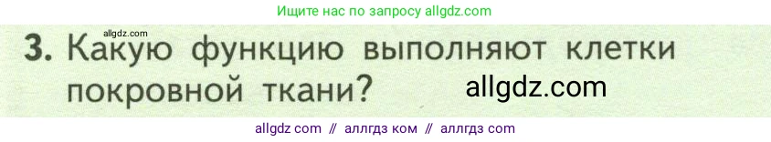 Биология, 6 класс Учебник, авторы: Пасечник Владимир Васильевич, Суматохин Сергей Витальевич, Гапонюк Зоя Георгиевна, Швецов Глеб Геннадьевич, издательство Просвещение, Москва, 2023, белого цвета, страница 62, номер 3, Условие