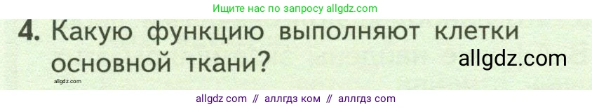 Биология, 6 класс Учебник, авторы: Пасечник Владимир Васильевич, Суматохин Сергей Витальевич, Гапонюк Зоя Георгиевна, Швецов Глеб Геннадьевич, издательство Просвещение, Москва, 2023, белого цвета, страница 62, номер 4, Условие