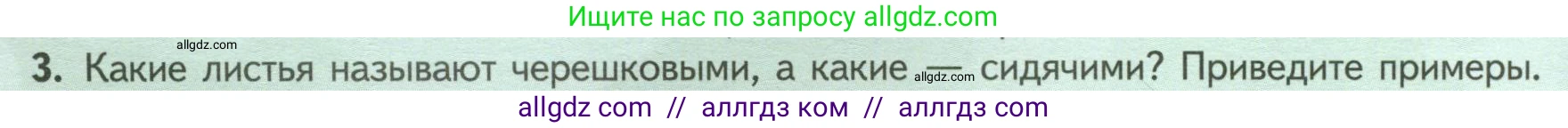 Биология, 6 класс Учебник, авторы: Пасечник Владимир Васильевич, Суматохин Сергей Витальевич, Гапонюк Зоя Георгиевна, Швецов Глеб Геннадьевич, издательство Просвещение, Москва, 2023, белого цвета, страница 66, номер 3, Условие