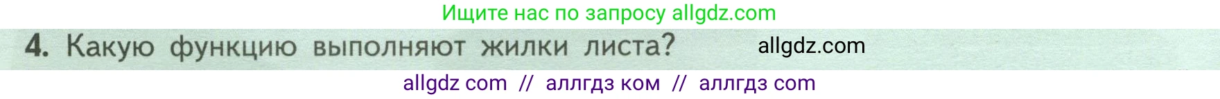 Биология, 6 класс Учебник, авторы: Пасечник Владимир Васильевич, Суматохин Сергей Витальевич, Гапонюк Зоя Георгиевна, Швецов Глеб Геннадьевич, издательство Просвещение, Москва, 2023, белого цвета, страница 66, номер 4, Условие