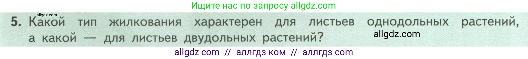Биология, 6 класс Учебник, авторы: Пасечник Владимир Васильевич, Суматохин Сергей Витальевич, Гапонюк Зоя Георгиевна, Швецов Глеб Геннадьевич, издательство Просвещение, Москва, 2023, белого цвета, страница 66, номер 5, Условие