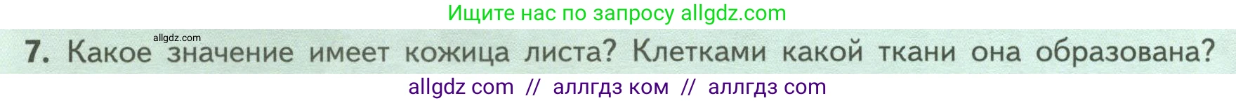 Биология, 6 класс Учебник, авторы: Пасечник Владимир Васильевич, Суматохин Сергей Витальевич, Гапонюк Зоя Георгиевна, Швецов Глеб Геннадьевич, издательство Просвещение, Москва, 2023, белого цвета, страница 66, номер 7, Условие