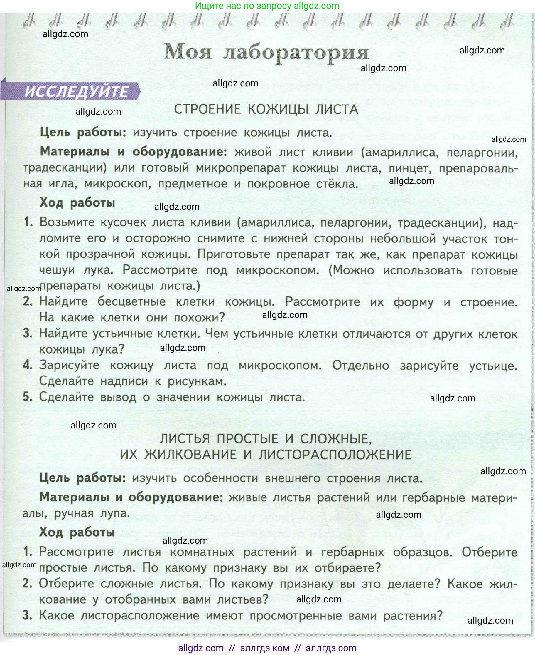 Биология, 6 класс Учебник, авторы: Пасечник Владимир Васильевич, Суматохин Сергей Витальевич, Гапонюк Зоя Георгиевна, Швецов Глеб Геннадьевич, издательство Просвещение, Москва, 2023, белого цвета, страница 67, Условие