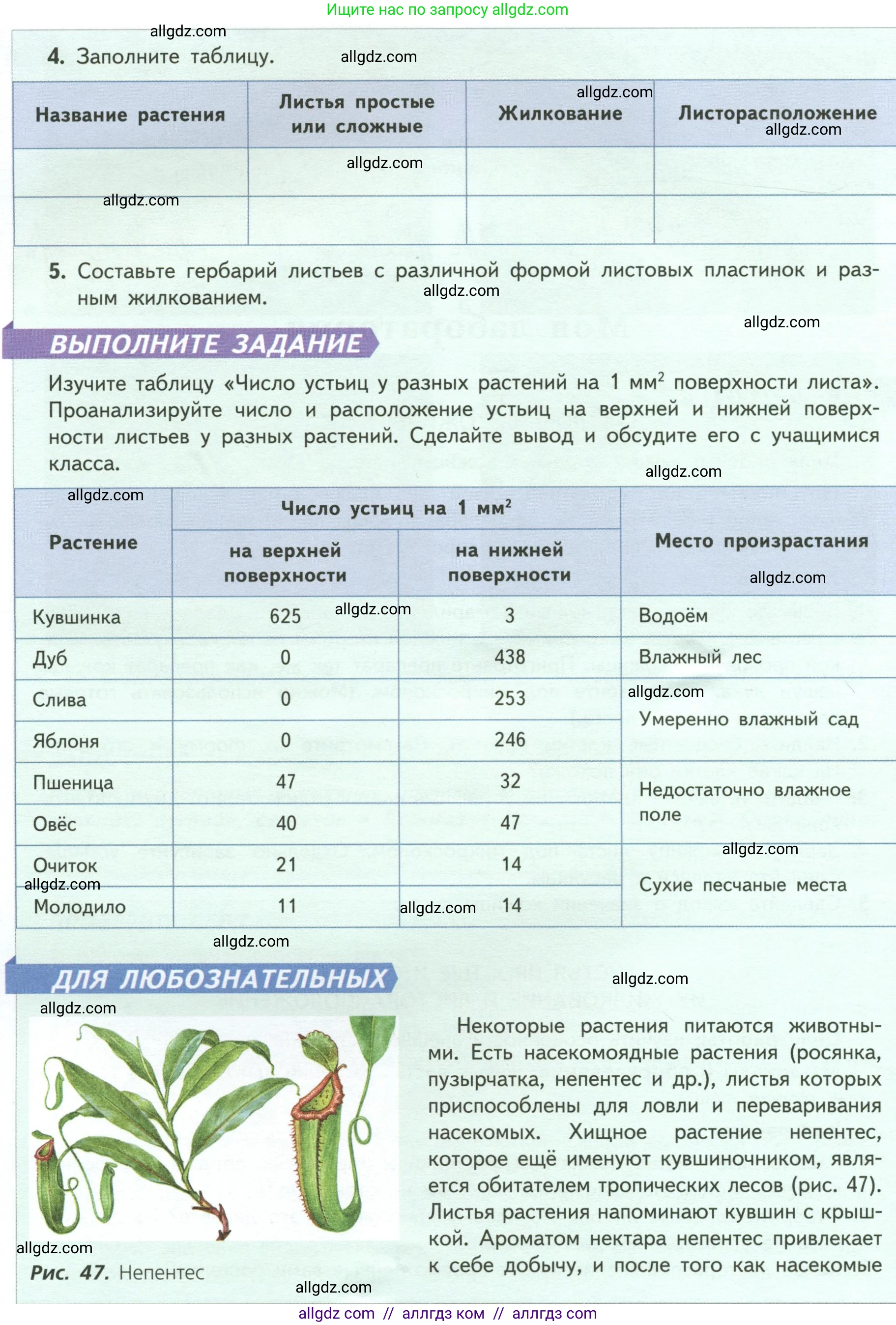 Биология, 6 класс Учебник, авторы: Пасечник Владимир Васильевич, Суматохин Сергей Витальевич, Гапонюк Зоя Георгиевна, Швецов Глеб Геннадьевич, издательство Просвещение, Москва, 2023, белого цвета, страница 67, Условие (продолжение 2)