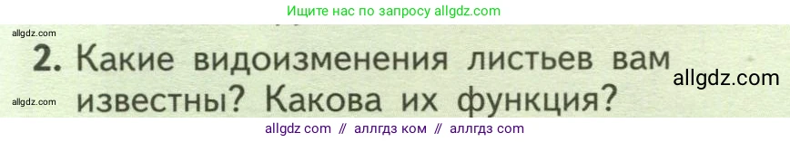 Биология, 6 класс Учебник, авторы: Пасечник Владимир Васильевич, Суматохин Сергей Витальевич, Гапонюк Зоя Георгиевна, Швецов Глеб Геннадьевич, издательство Просвещение, Москва, 2023, белого цвета, страница 70, номер 2, Условие