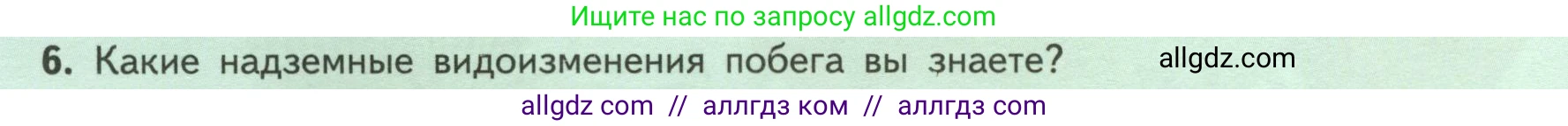 Биология, 6 класс Учебник, авторы: Пасечник Владимир Васильевич, Суматохин Сергей Витальевич, Гапонюк Зоя Георгиевна, Швецов Глеб Геннадьевич, издательство Просвещение, Москва, 2023, белого цвета, страница 72, номер 6, Условие