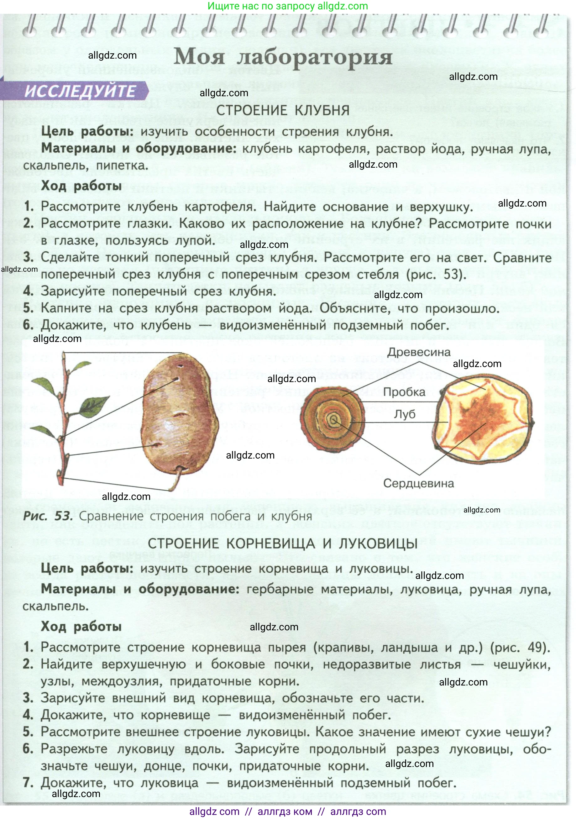 Биология, 6 класс Учебник, авторы: Пасечник Владимир Васильевич, Суматохин Сергей Витальевич, Гапонюк Зоя Георгиевна, Швецов Глеб Геннадьевич, издательство Просвещение, Москва, 2023, белого цвета, страница 73, Условие