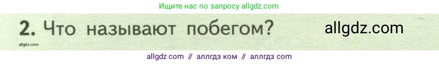 Биология, 6 класс Учебник, авторы: Пасечник Владимир Васильевич, Суматохин Сергей Витальевич, Гапонюк Зоя Георгиевна, Швецов Глеб Геннадьевич, издательство Просвещение, Москва, 2023, белого цвета, страница 74, номер 2, Условие