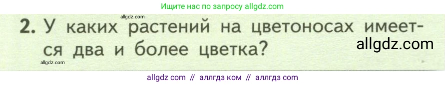 Биология, 6 класс Учебник, авторы: Пасечник Владимир Васильевич, Суматохин Сергей Витальевич, Гапонюк Зоя Георгиевна, Швецов Глеб Геннадьевич, издательство Просвещение, Москва, 2023, белого цвета, страница 78, номер 2, Условие