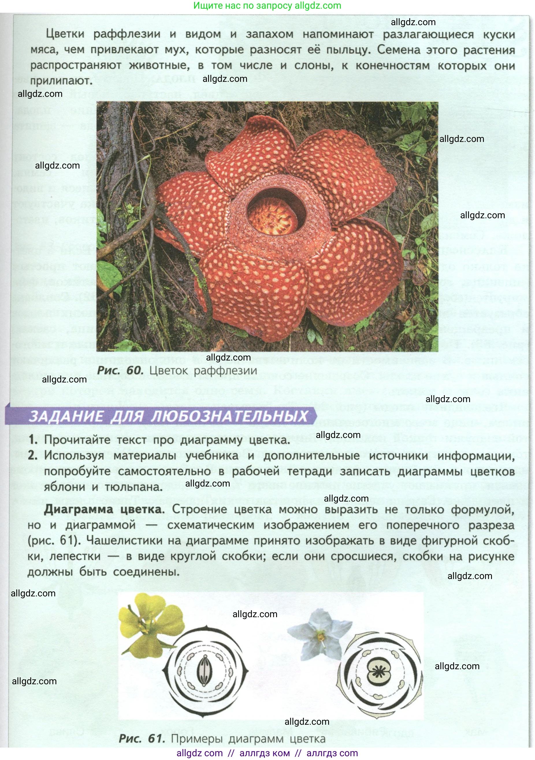 Биология, 6 класс Учебник, авторы: Пасечник Владимир Васильевич, Суматохин Сергей Витальевич, Гапонюк Зоя Георгиевна, Швецов Глеб Геннадьевич, издательство Просвещение, Москва, 2023, белого цвета, страница 80, Условие (продолжение 2)