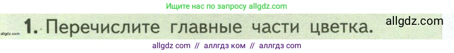 Биология, 6 класс Учебник, авторы: Пасечник Владимир Васильевич, Суматохин Сергей Витальевич, Гапонюк Зоя Георгиевна, Швецов Глеб Геннадьевич, издательство Просвещение, Москва, 2023, белого цвета, страница 82, номер 1, Условие