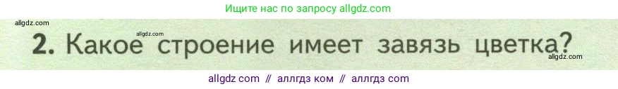 Биология, 6 класс Учебник, авторы: Пасечник Владимир Васильевич, Суматохин Сергей Витальевич, Гапонюк Зоя Георгиевна, Швецов Глеб Геннадьевич, издательство Просвещение, Москва, 2023, белого цвета, страница 82, номер 2, Условие