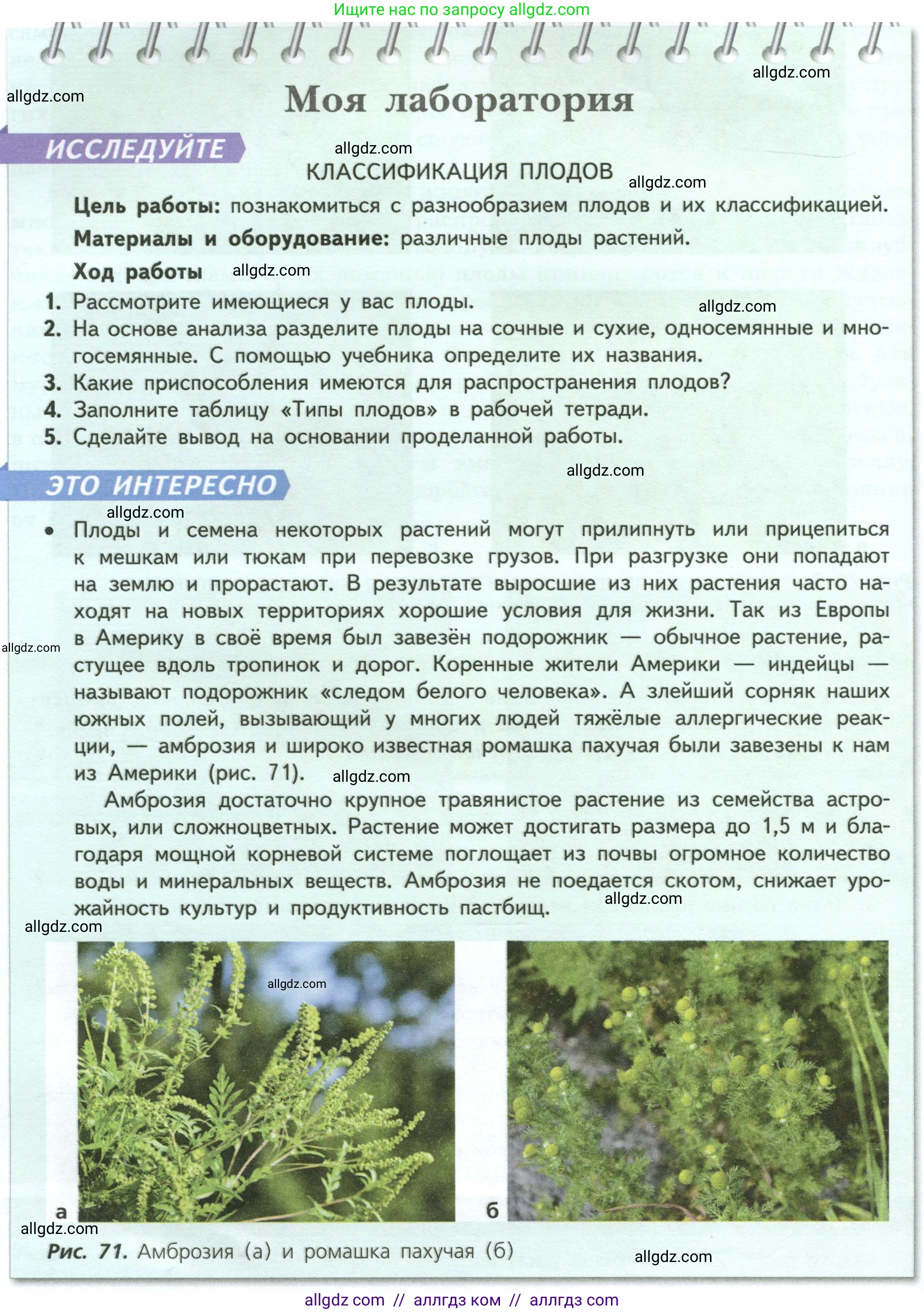 Биология, 6 класс Учебник, авторы: Пасечник Владимир Васильевич, Суматохин Сергей Витальевич, Гапонюк Зоя Георгиевна, Швецов Глеб Геннадьевич, издательство Просвещение, Москва, 2023, белого цвета, страница 88, Условие