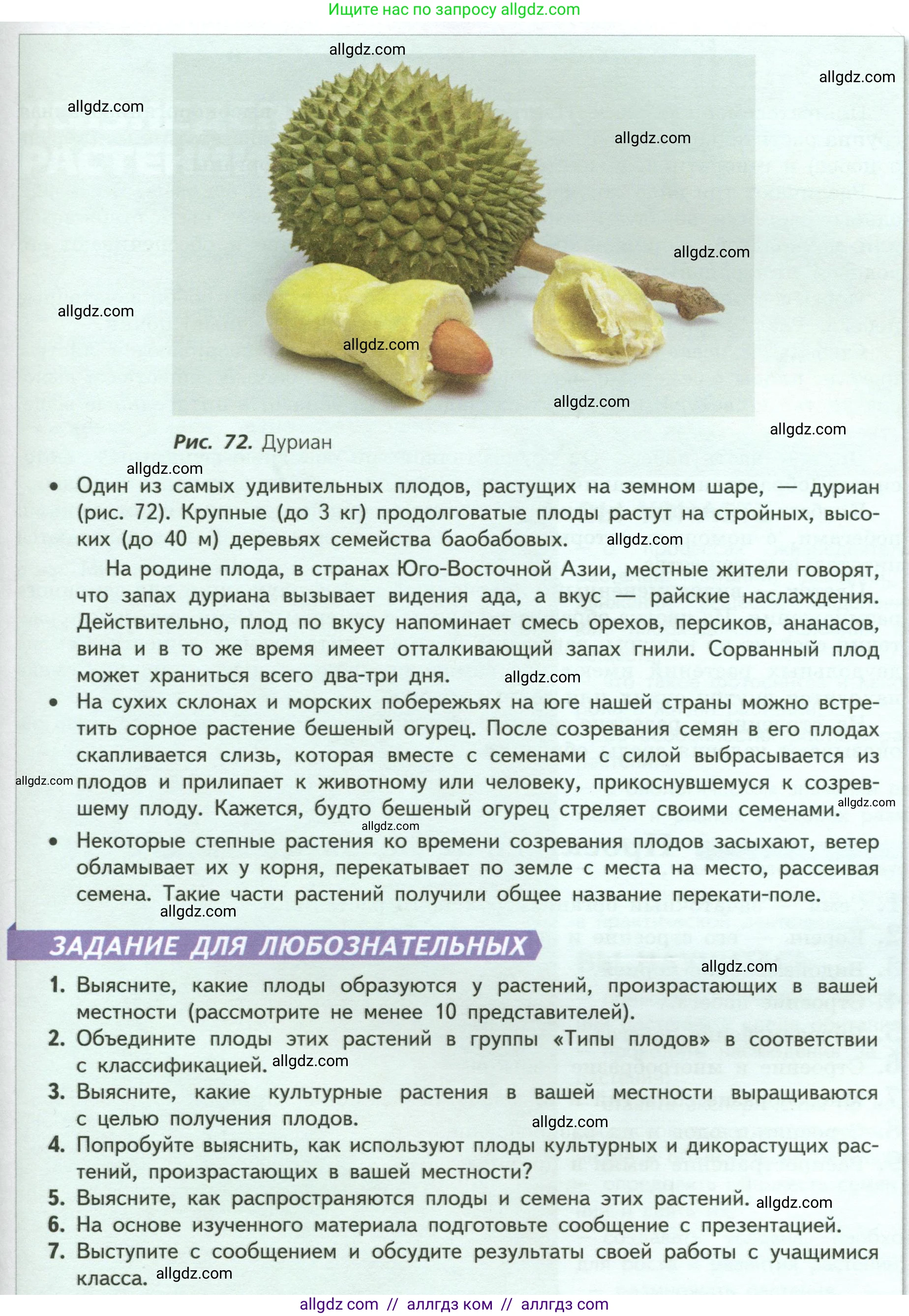 Биология, 6 класс Учебник, авторы: Пасечник Владимир Васильевич, Суматохин Сергей Витальевич, Гапонюк Зоя Георгиевна, Швецов Глеб Геннадьевич, издательство Просвещение, Москва, 2023, белого цвета, страница 88, Условие (продолжение 2)