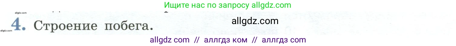 Биология, 6 класс Учебник, авторы: Пасечник Владимир Васильевич, Суматохин Сергей Витальевич, Гапонюк Зоя Георгиевна, Швецов Глеб Геннадьевич, издательство Просвещение, Москва, 2023, белого цвета, страница 90, номер 4, Условие