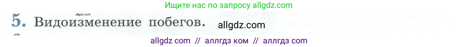 Биология, 6 класс Учебник, авторы: Пасечник Владимир Васильевич, Суматохин Сергей Витальевич, Гапонюк Зоя Георгиевна, Швецов Глеб Геннадьевич, издательство Просвещение, Москва, 2023, белого цвета, страница 90, номер 5, Условие