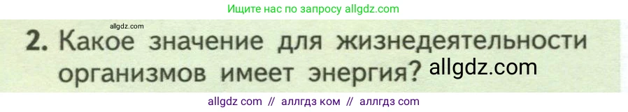 Биология, 6 класс Учебник, авторы: Пасечник Владимир Васильевич, Суматохин Сергей Витальевич, Гапонюк Зоя Георгиевна, Швецов Глеб Геннадьевич, издательство Просвещение, Москва, 2023, белого цвета, страница 92, номер 2, Условие
