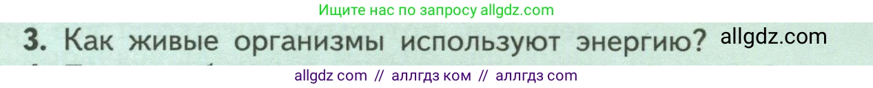 Биология, 6 класс Учебник, авторы: Пасечник Владимир Васильевич, Суматохин Сергей Витальевич, Гапонюк Зоя Георгиевна, Швецов Глеб Геннадьевич, издательство Просвещение, Москва, 2023, белого цвета, страница 93, номер 3, Условие