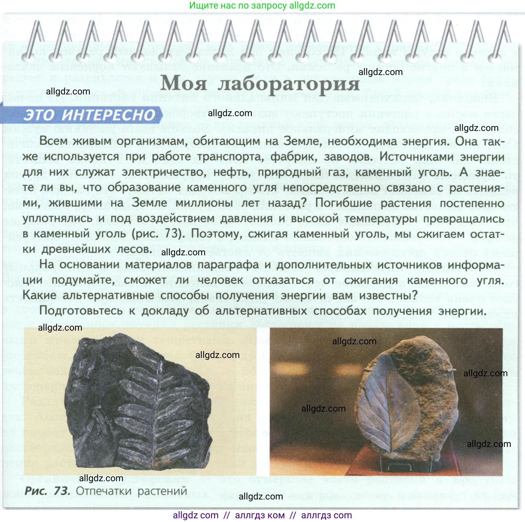 Биология, 6 класс Учебник, авторы: Пасечник Владимир Васильевич, Суматохин Сергей Витальевич, Гапонюк Зоя Георгиевна, Швецов Глеб Геннадьевич, издательство Просвещение, Москва, 2023, белого цвета, страница 93, Условие