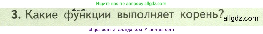 Биология, 6 класс Учебник, авторы: Пасечник Владимир Васильевич, Суматохин Сергей Витальевич, Гапонюк Зоя Георгиевна, Швецов Глеб Геннадьевич, издательство Просвещение, Москва, 2023, белого цвета, страница 94, номер 3, Условие
