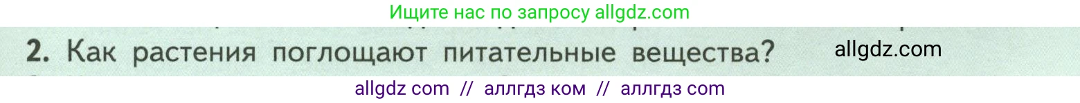 Биология, 6 класс Учебник, авторы: Пасечник Владимир Васильевич, Суматохин Сергей Витальевич, Гапонюк Зоя Георгиевна, Швецов Глеб Геннадьевич, издательство Просвещение, Москва, 2023, белого цвета, страница 97, номер 2, Условие
