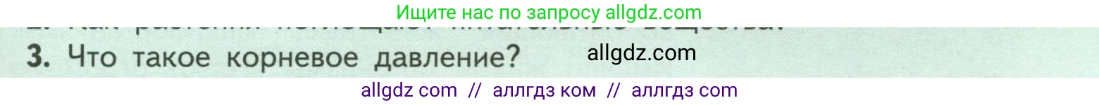 Биология, 6 класс Учебник, авторы: Пасечник Владимир Васильевич, Суматохин Сергей Витальевич, Гапонюк Зоя Георгиевна, Швецов Глеб Геннадьевич, издательство Просвещение, Москва, 2023, белого цвета, страница 97, номер 3, Условие