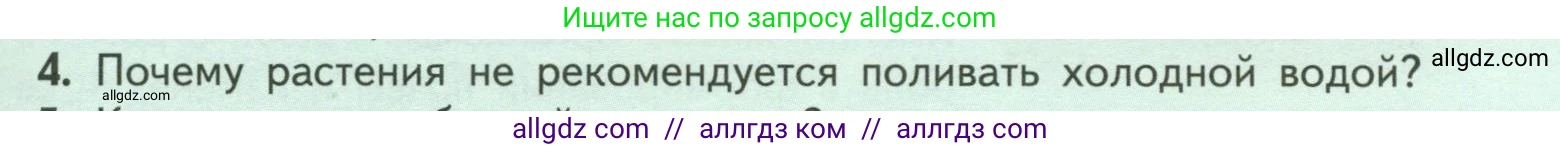 Биология, 6 класс Учебник, авторы: Пасечник Владимир Васильевич, Суматохин Сергей Витальевич, Гапонюк Зоя Георгиевна, Швецов Глеб Геннадьевич, издательство Просвещение, Москва, 2023, белого цвета, страница 97, номер 4, Условие