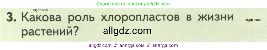 Биология, 6 класс Учебник, авторы: Пасечник Владимир Васильевич, Суматохин Сергей Витальевич, Гапонюк Зоя Георгиевна, Швецов Глеб Геннадьевич, издательство Просвещение, Москва, 2023, белого цвета, страница 100, номер 3, Условие