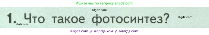 Биология, 6 класс Учебник, авторы: Пасечник Владимир Васильевич, Суматохин Сергей Витальевич, Гапонюк Зоя Георгиевна, Швецов Глеб Геннадьевич, издательство Просвещение, Москва, 2023, белого цвета, страница 101, номер 1, Условие