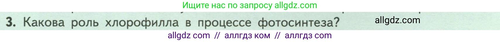 Биология, 6 класс Учебник, авторы: Пасечник Владимир Васильевич, Суматохин Сергей Витальевич, Гапонюк Зоя Георгиевна, Швецов Глеб Геннадьевич, издательство Просвещение, Москва, 2023, белого цвета, страница 101, номер 3, Условие