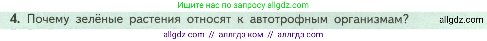 Биология, 6 класс Учебник, авторы: Пасечник Владимир Васильевич, Суматохин Сергей Витальевич, Гапонюк Зоя Георгиевна, Швецов Глеб Геннадьевич, издательство Просвещение, Москва, 2023, белого цвета, страница 101, номер 4, Условие