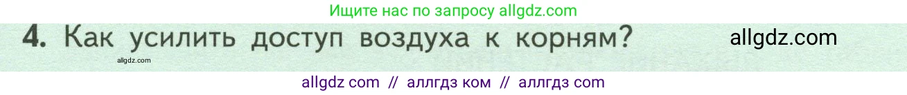 Биология, 6 класс Учебник, авторы: Пасечник Владимир Васильевич, Суматохин Сергей Витальевич, Гапонюк Зоя Георгиевна, Швецов Глеб Геннадьевич, издательство Просвещение, Москва, 2023, белого цвета, страница 107, номер 4, Условие