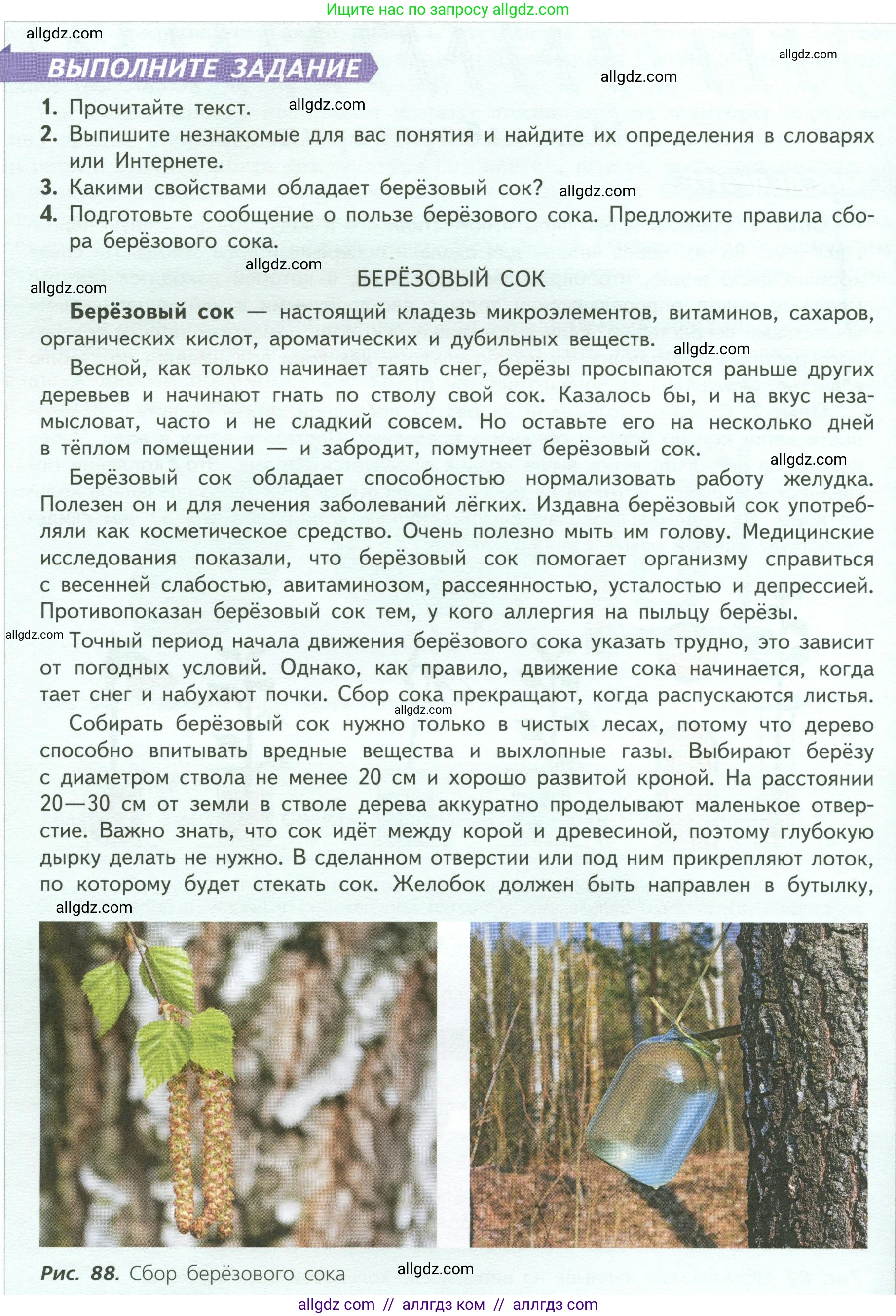 Биология, 6 класс Учебник, авторы: Пасечник Владимир Васильевич, Суматохин Сергей Витальевич, Гапонюк Зоя Георгиевна, Швецов Глеб Геннадьевич, издательство Просвещение, Москва, 2023, белого цвета, страница 113, Условие (продолжение 2)
