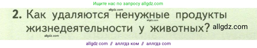 Биология, 6 класс Учебник, авторы: Пасечник Владимир Васильевич, Суматохин Сергей Витальевич, Гапонюк Зоя Георгиевна, Швецов Глеб Геннадьевич, издательство Просвещение, Москва, 2023, белого цвета, страница 116, номер 2, Условие