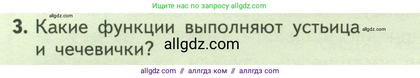 Биология, 6 класс Учебник, авторы: Пасечник Владимир Васильевич, Суматохин Сергей Витальевич, Гапонюк Зоя Георгиевна, Швецов Глеб Геннадьевич, издательство Просвещение, Москва, 2023, белого цвета, страница 116, номер 3, Условие
