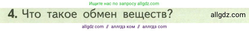 Биология, 6 класс Учебник, авторы: Пасечник Владимир Васильевич, Суматохин Сергей Витальевич, Гапонюк Зоя Георгиевна, Швецов Глеб Геннадьевич, издательство Просвещение, Москва, 2023, белого цвета, страница 116, номер 4, Условие