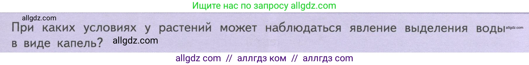 Биология, 6 класс Учебник, авторы: Пасечник Владимир Васильевич, Суматохин Сергей Витальевич, Гапонюк Зоя Георгиевна, Швецов Глеб Геннадьевич, издательство Просвещение, Москва, 2023, белого цвета, страница 119, Условие