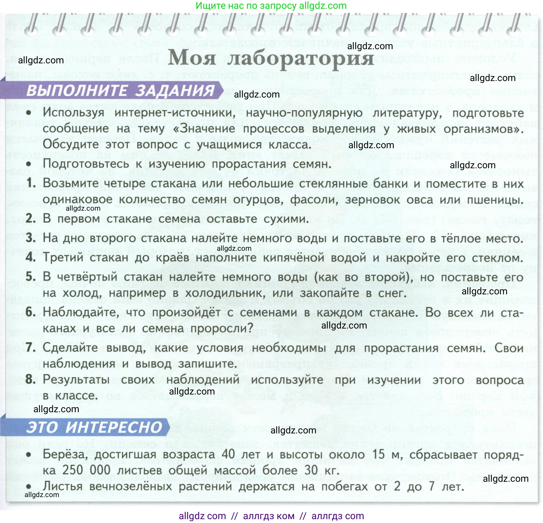 Биология, 6 класс Учебник, авторы: Пасечник Владимир Васильевич, Суматохин Сергей Витальевич, Гапонюк Зоя Георгиевна, Швецов Глеб Геннадьевич, издательство Просвещение, Москва, 2023, белого цвета, страница 119, Условие