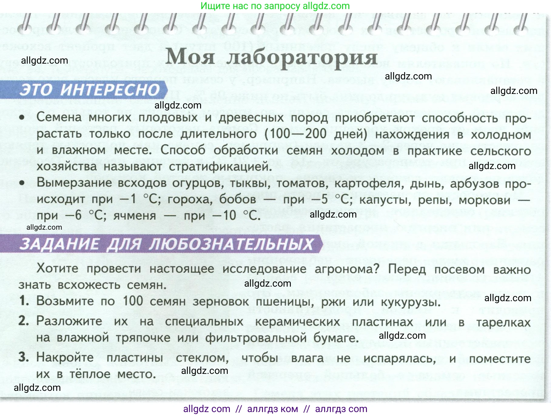 Биология, 6 класс Учебник, авторы: Пасечник Владимир Васильевич, Суматохин Сергей Витальевич, Гапонюк Зоя Георгиевна, Швецов Глеб Геннадьевич, издательство Просвещение, Москва, 2023, белого цвета, страница 124, Условие