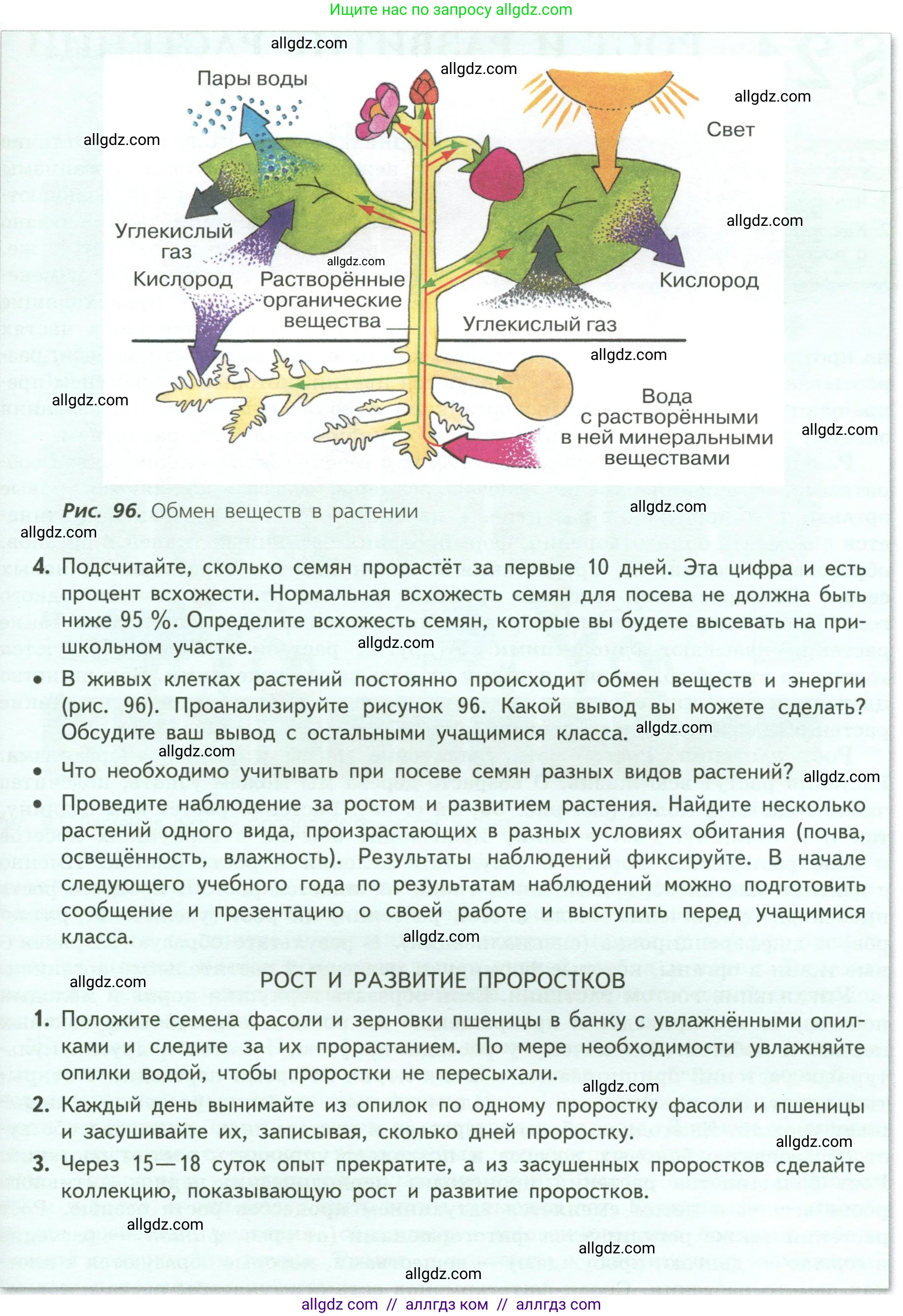 Биология, 6 класс Учебник, авторы: Пасечник Владимир Васильевич, Суматохин Сергей Витальевич, Гапонюк Зоя Георгиевна, Швецов Глеб Геннадьевич, издательство Просвещение, Москва, 2023, белого цвета, страница 124, Условие (продолжение 2)