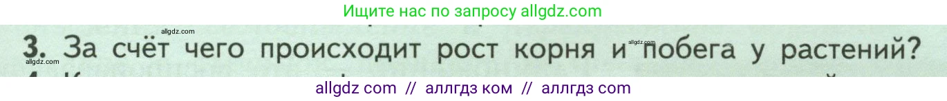 Биология, 6 класс Учебник, авторы: Пасечник Владимир Васильевич, Суматохин Сергей Витальевич, Гапонюк Зоя Георгиевна, Швецов Глеб Геннадьевич, издательство Просвещение, Москва, 2023, белого цвета, страница 129, номер 3, Условие