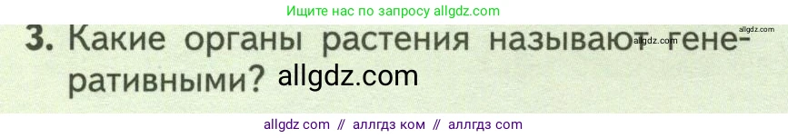 Биология, 6 класс Учебник, авторы: Пасечник Владимир Васильевич, Суматохин Сергей Витальевич, Гапонюк Зоя Георгиевна, Швецов Глеб Геннадьевич, издательство Просвещение, Москва, 2023, белого цвета, страница 130, номер 3, Условие
