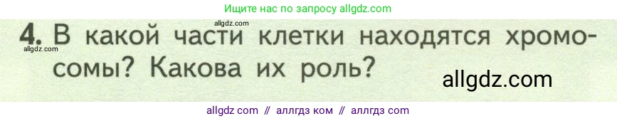 Биология, 6 класс Учебник, авторы: Пасечник Владимир Васильевич, Суматохин Сергей Витальевич, Гапонюк Зоя Георгиевна, Швецов Глеб Геннадьевич, издательство Просвещение, Москва, 2023, белого цвета, страница 130, номер 4, Условие