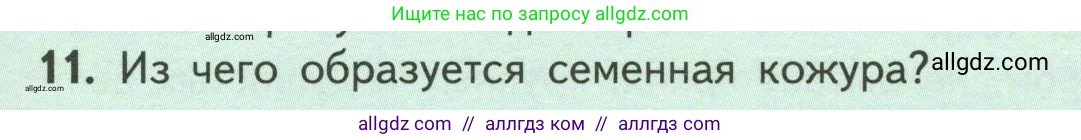 Биология, 6 класс Учебник, авторы: Пасечник Владимир Васильевич, Суматохин Сергей Витальевич, Гапонюк Зоя Георгиевна, Швецов Глеб Геннадьевич, издательство Просвещение, Москва, 2023, белого цвета, страница 133, номер 11, Условие