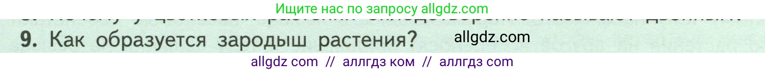 Биология, 6 класс Учебник, авторы: Пасечник Владимир Васильевич, Суматохин Сергей Витальевич, Гапонюк Зоя Георгиевна, Швецов Глеб Геннадьевич, издательство Просвещение, Москва, 2023, белого цвета, страница 133, номер 9, Условие